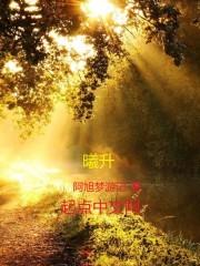 传闻中的陈芊芊续集小说