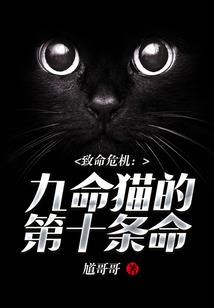 悠然的盛夏