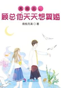 木与蛀虫