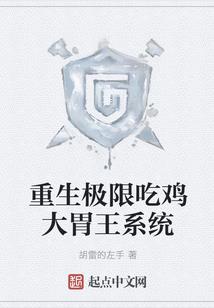 夜空的领导者