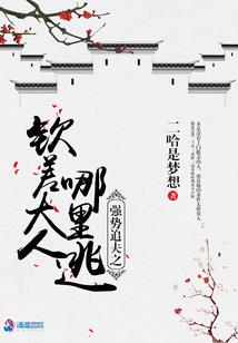 异世之泪无裴
