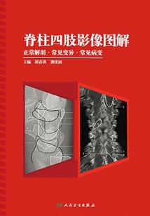 无法阻断的爱又名冰雨