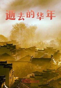 爱猫的她