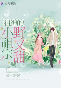 网游之影子大师