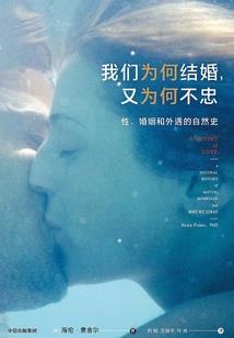 星光城