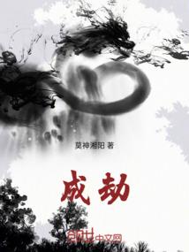 镜界之域