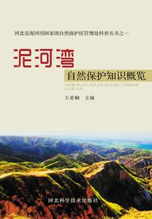 心碎的难过的你的