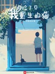 娘化系统