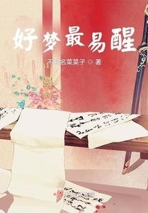 旅人所见的幻想乡风景