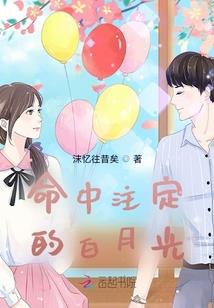 浮生劫之玄灵记