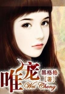 二次元之路