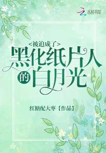 王妃的传奇人生