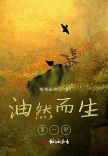绝色王爷爱丑妃