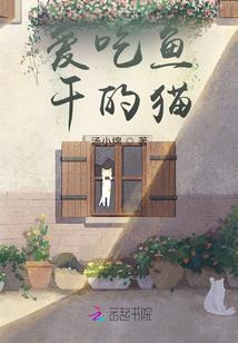 妙书夜谭