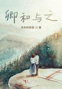 笨丫头的11老公