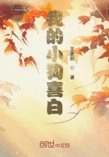 宠妃不可为