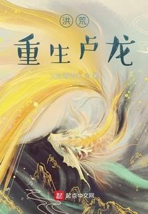 海贼的奇妙冒险