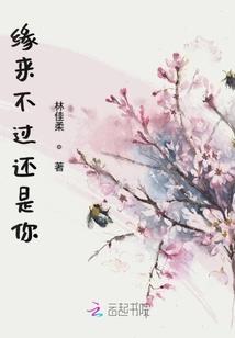菲克烛影