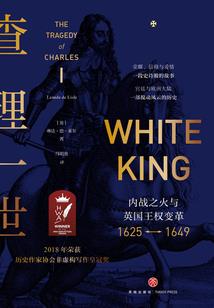 天荒咒记
