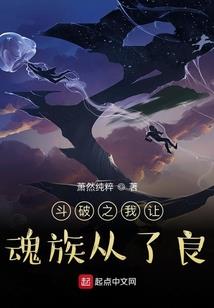 圣境之域