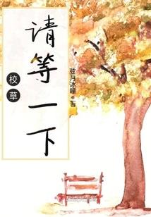 不要想起我