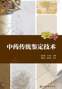 从变身开始的美妙人生