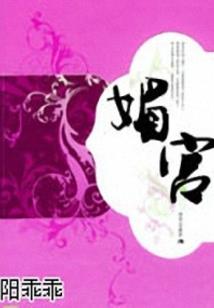 幻影夜