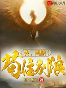 海贼王之武炼酿酒师
