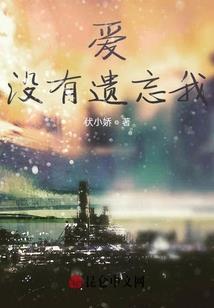 后来他去了远方