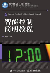 青春的风采