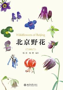 BUG的自处日常