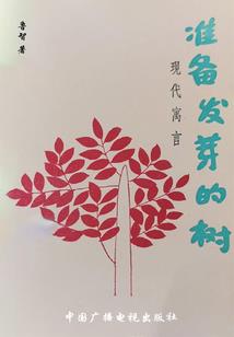 迷恋念不忘