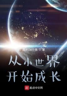 泊心