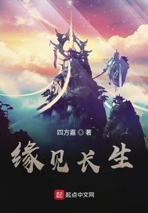 盗贼盗贼