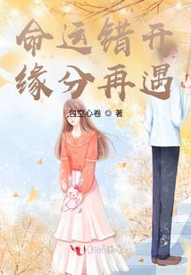 刺客凌少臣