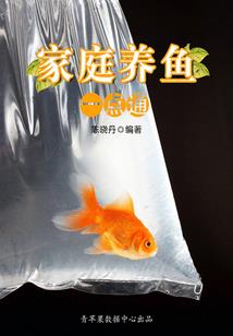 茧界