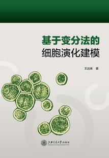 请再让我爱一次