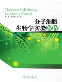 律师房东俏租客