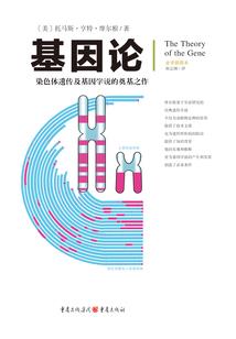 星路道踪