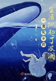 蝴蝶迷谷