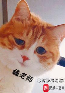 九洲星耀