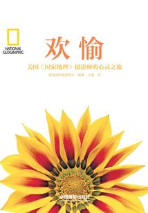往来千年葵花殇