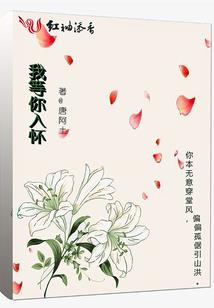 相亲式爱情