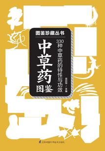 光明之愿
