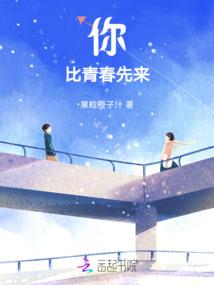 穿越诸葛亮，将士每餐一份猪脚饭