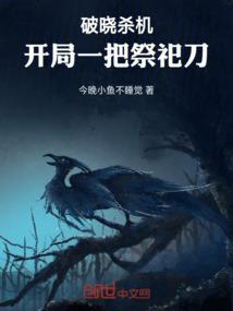 西京风云录