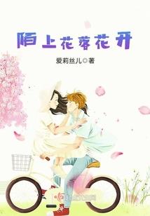 一律顾离歌