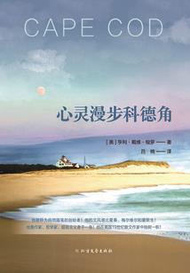阿比斯的深渊