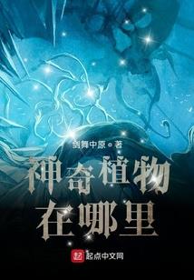 江上何年初见月