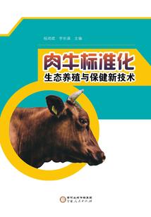 仙石传之天之痕